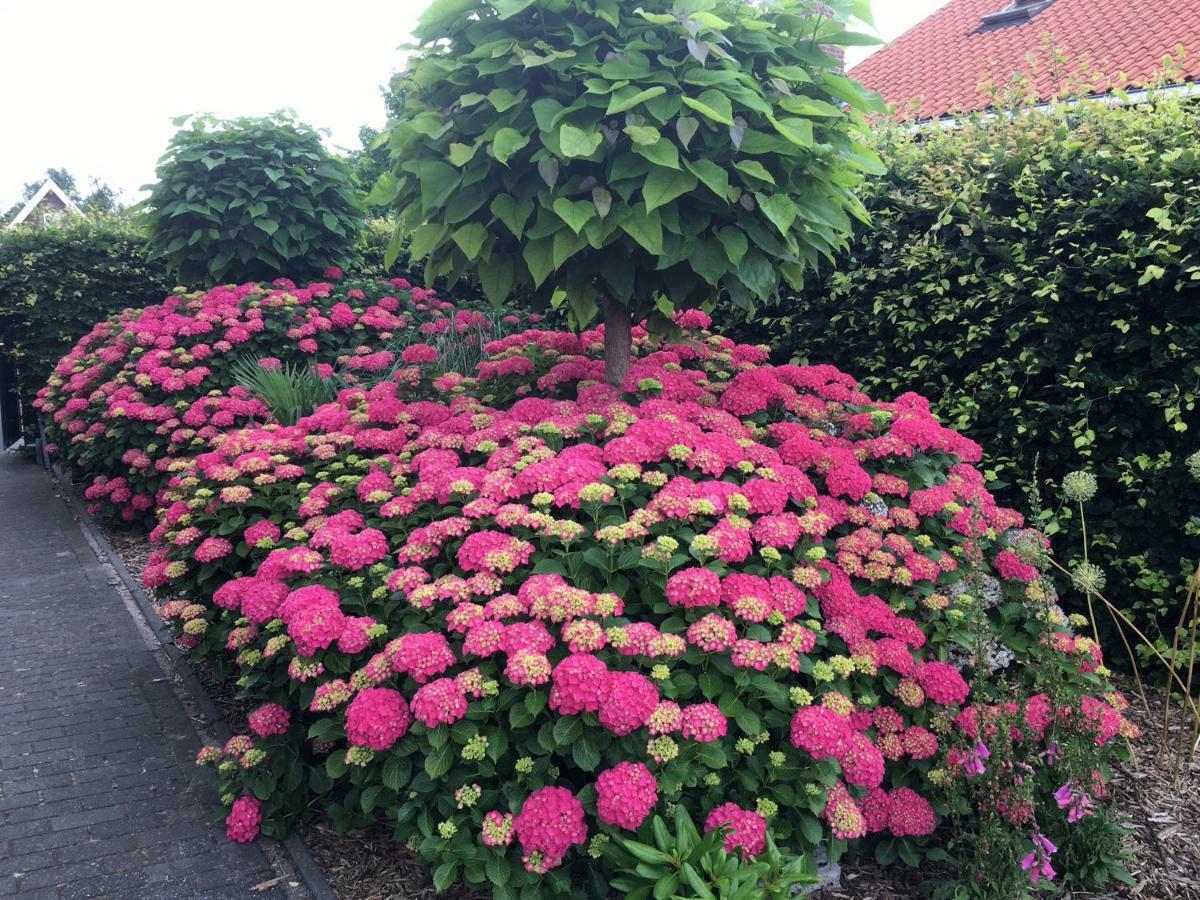 Amsterdam Countryside Met Airco ,Geweldig Uitzicht, Luxe Keuken,Wasmachine,Droger,Gratis Fietsen Apartment Den Ilp Екстериор снимка
