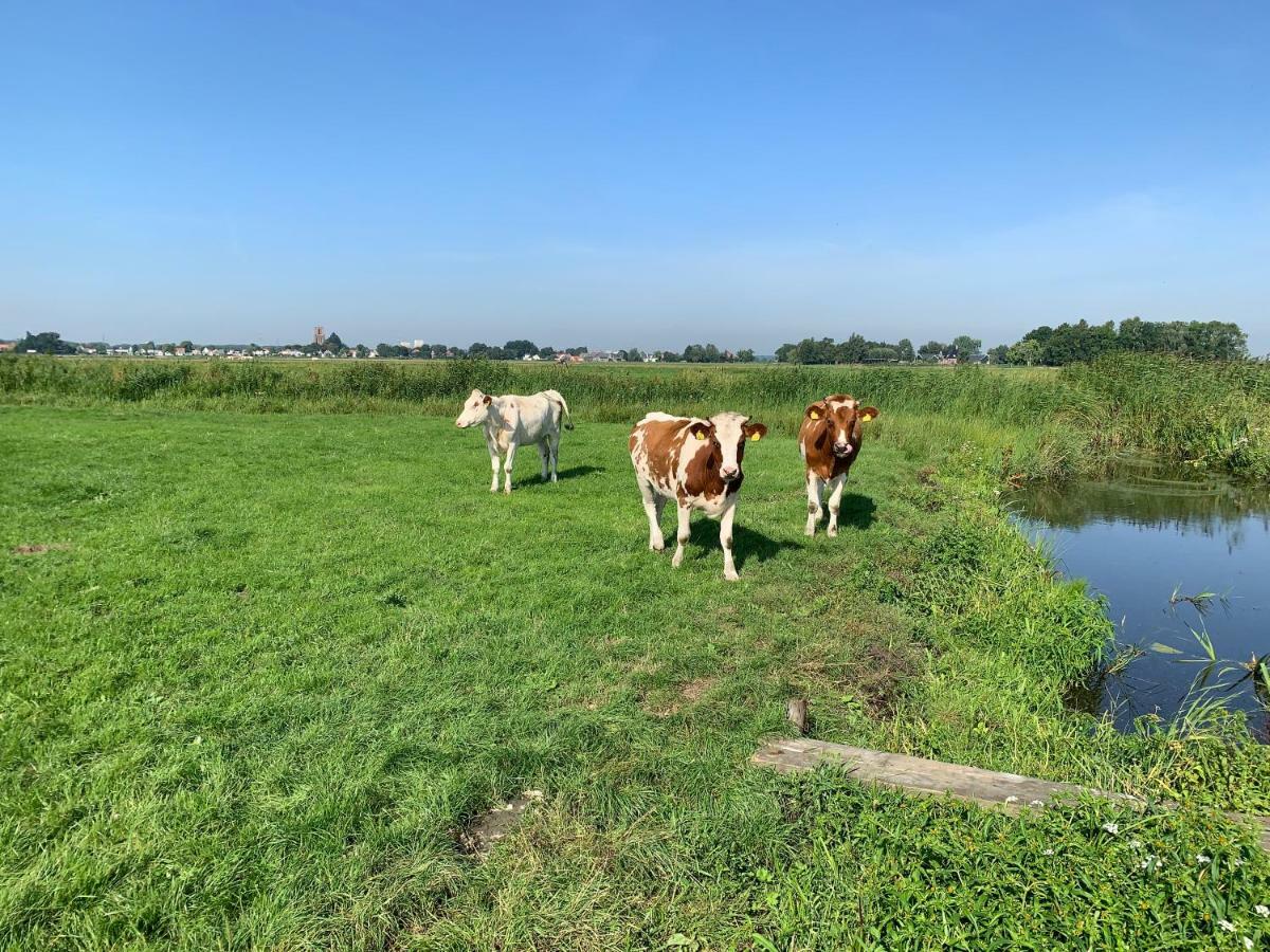 Amsterdam Countryside Met Airco ,Geweldig Uitzicht, Luxe Keuken,Wasmachine,Droger,Gratis Fietsen Apartment Den Ilp Екстериор снимка